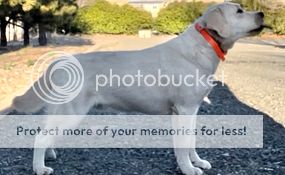 Photobucket - Video and Image Hosting