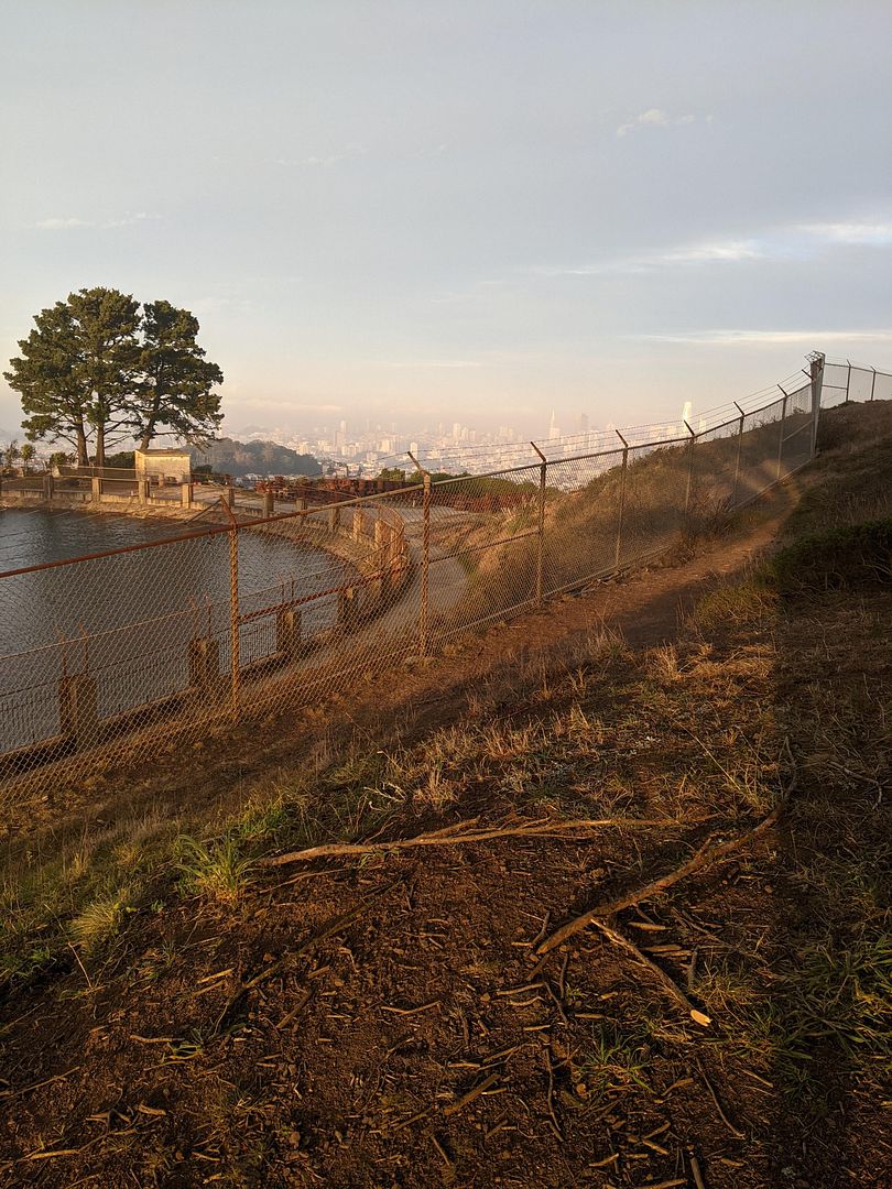 Near Sutro Tower