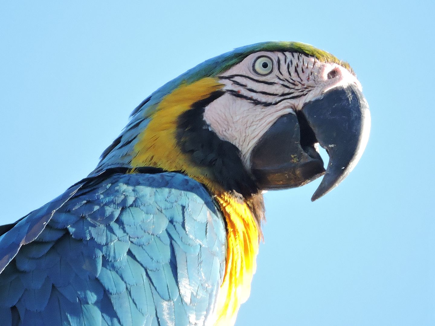 karina-rullo-tSvMp2iAwPs-unsplash