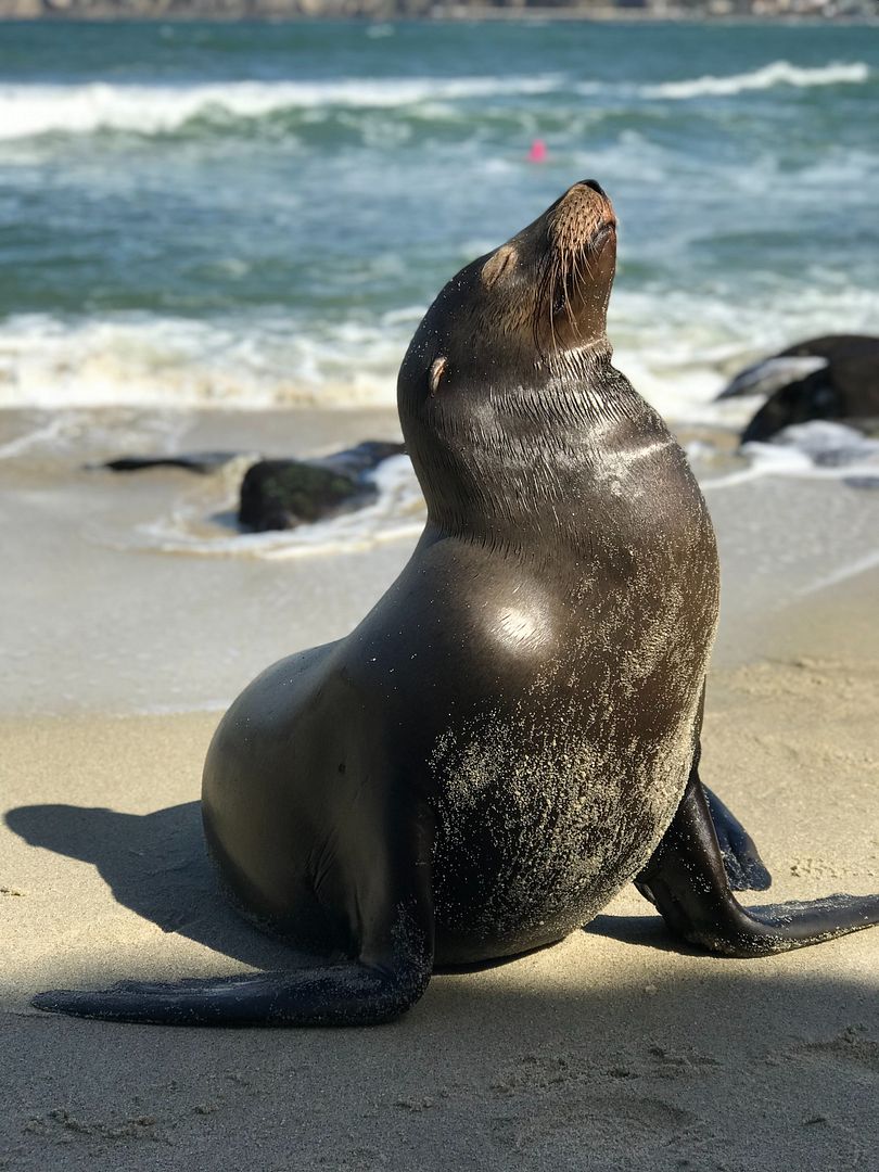 sand-crain-8jk64drEMcw-unsplash