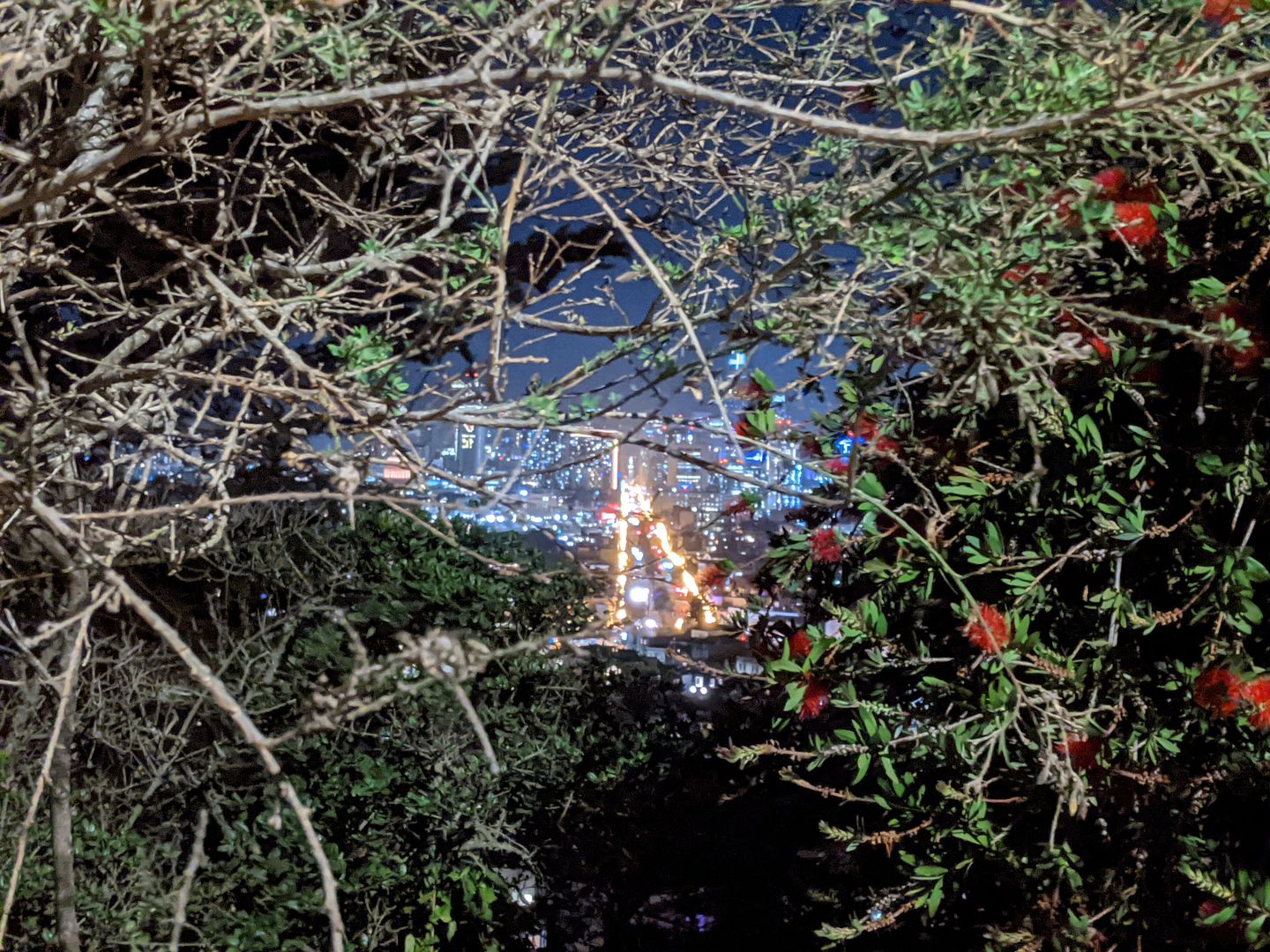 Straight down San Francisco through a bush