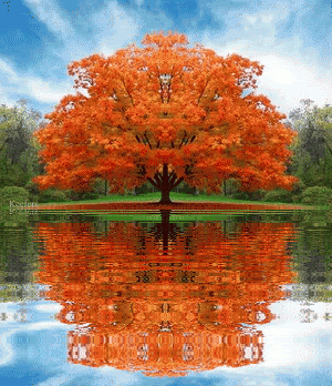 Medicina Natural & Preventiva