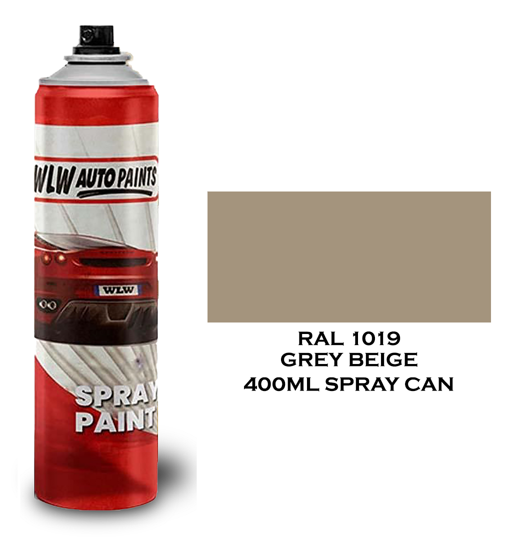 Dull Matt Paint RAL Colours Aerosol Spray Touch Up Metal Wood Plastic PVC Can