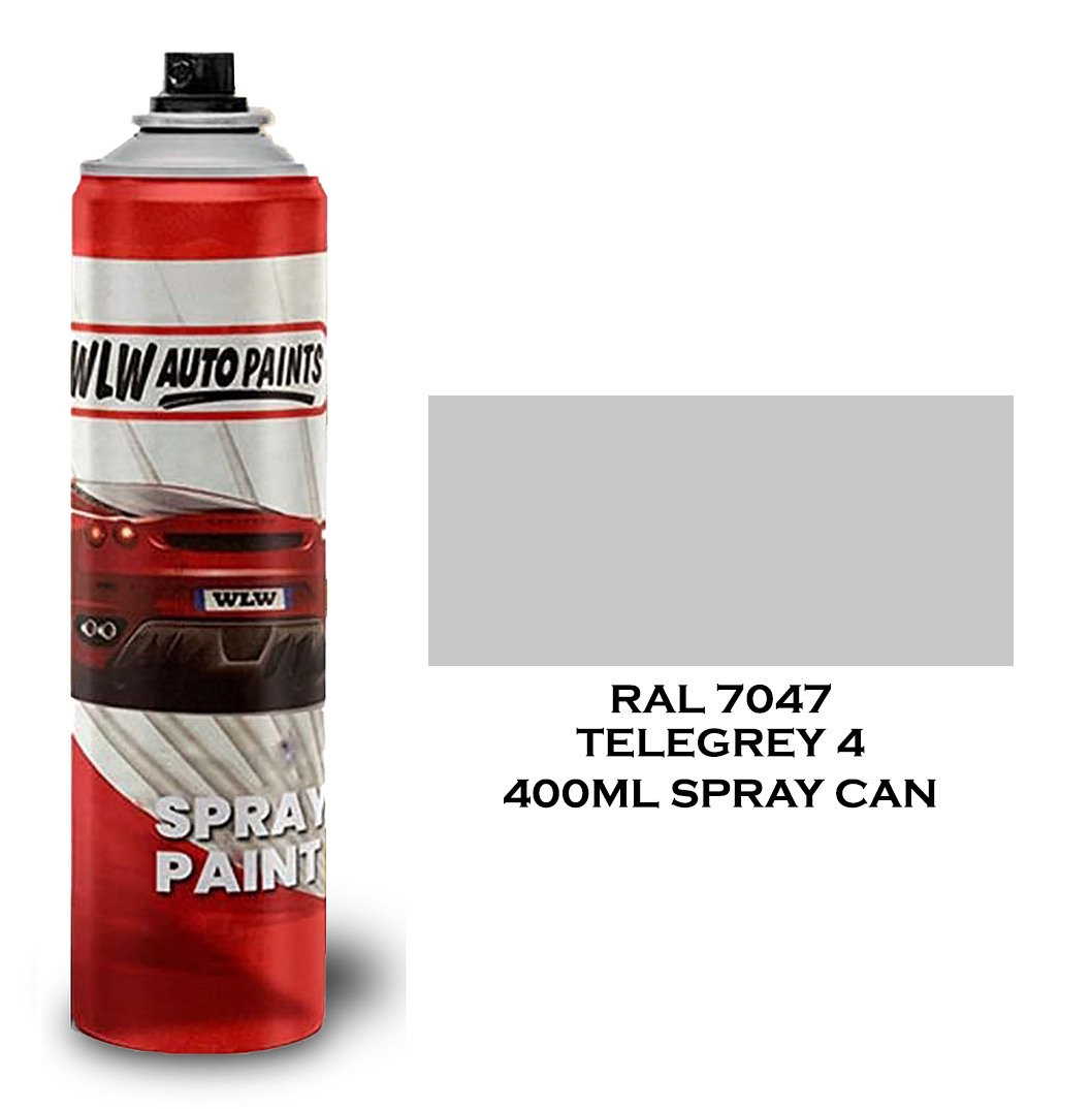 Dull Matt Paint RAL Colours Aerosol Spray Touch Up Metal Wood Plastic PVC Can