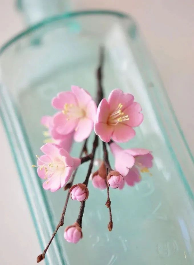 Molde cortador flor de cerezo silvestre trébol