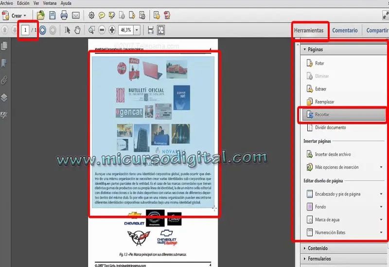 EDITAR PDF acrobat x pro cs6 VIDEO CURSO ADOBE ACROBAT X CS6