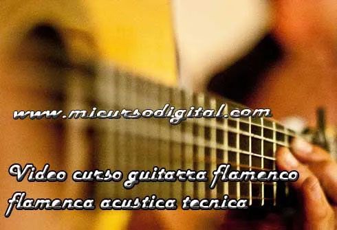 guitarra_flamenco/guitarra_flamenca_curso_videotutorial_tecnicas_partitura