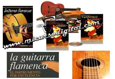 curso_guitarra_flamenco_flamenca_acustica