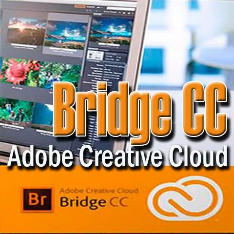 Adobe Bridge CC Creative Cloud Español WIN/MAC Simplifica trabajo