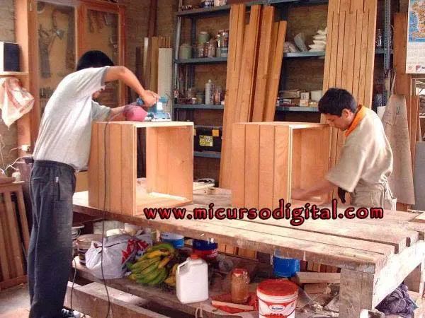 Vídeo Curso carpintería en madera ebanistería técnicas Pdf y bricolage