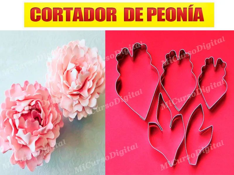 Set molde Cortador de flor peonia para decoración tortas de boda