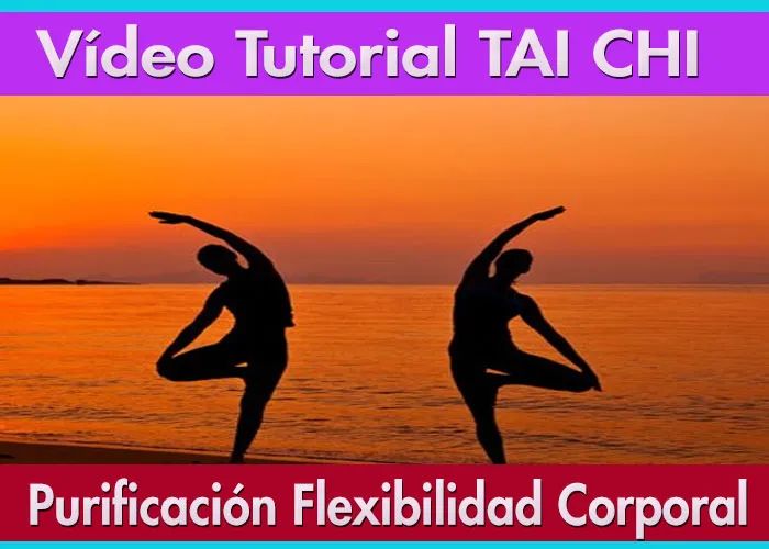 Vídeo Curso Tai Chi desarrollo natural y flexibilidad corporal dvd