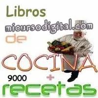 Curso cocina 9000 recetas gastronomía comida internacional Pdf