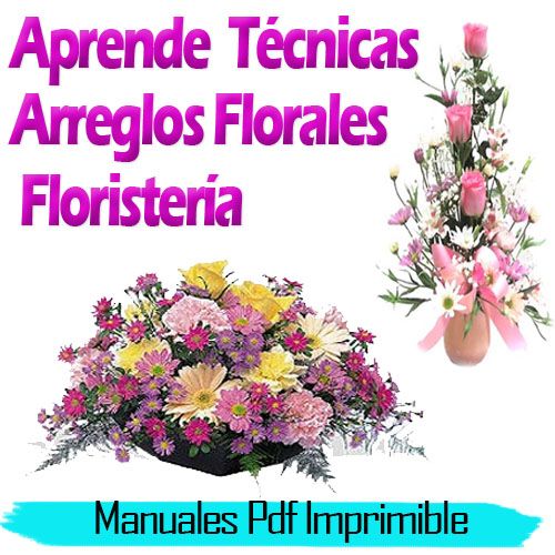 Curso de Arreglos Florales Manual Pdf Ramos Flores Floristería Eventos