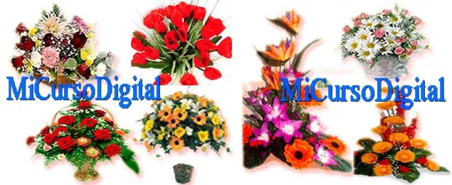Curso de floristeria arreglos florales ramos para bodas centros de mesa flores naturales florista