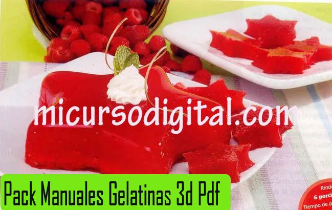 Curso gelatinas decoradas florales 3D gelatinas artísticas Manual Pdf