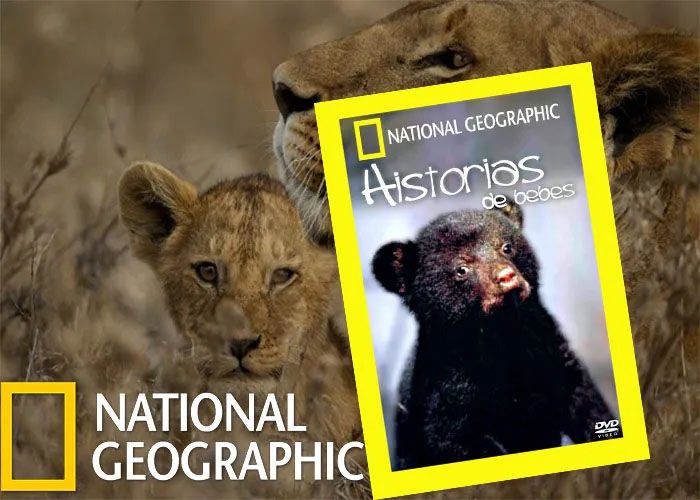 Nat Geo Historias de Bebes Documental Animales Salvajes