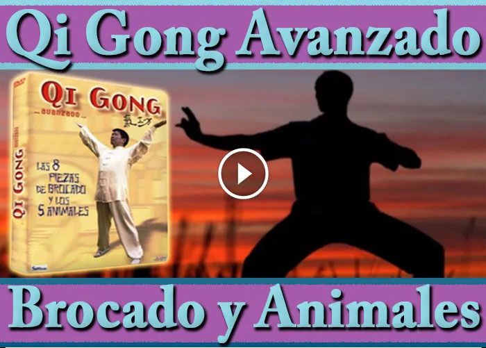 Qi Gong Avanzado Práctica 8 Piezas Brocado 5 Animales Video Español