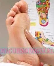 Reflexologia podal pdf manuales masajes en los pies