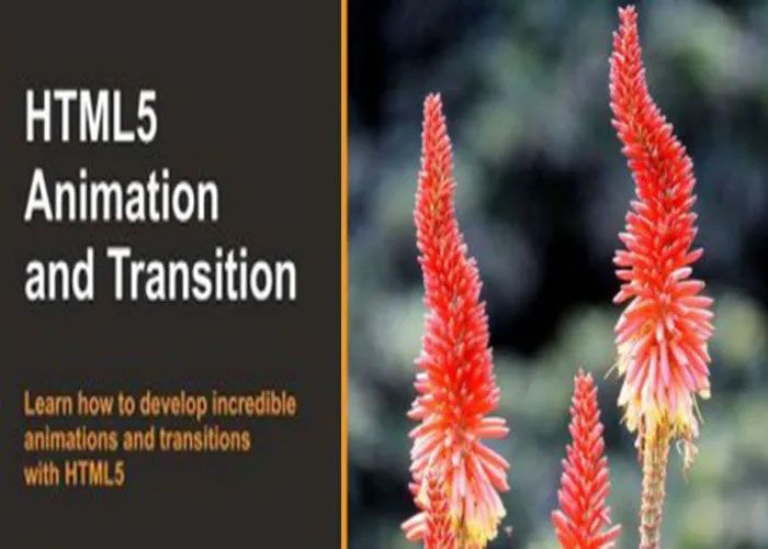 Tutorial HTML5 Animation and Transition Course English