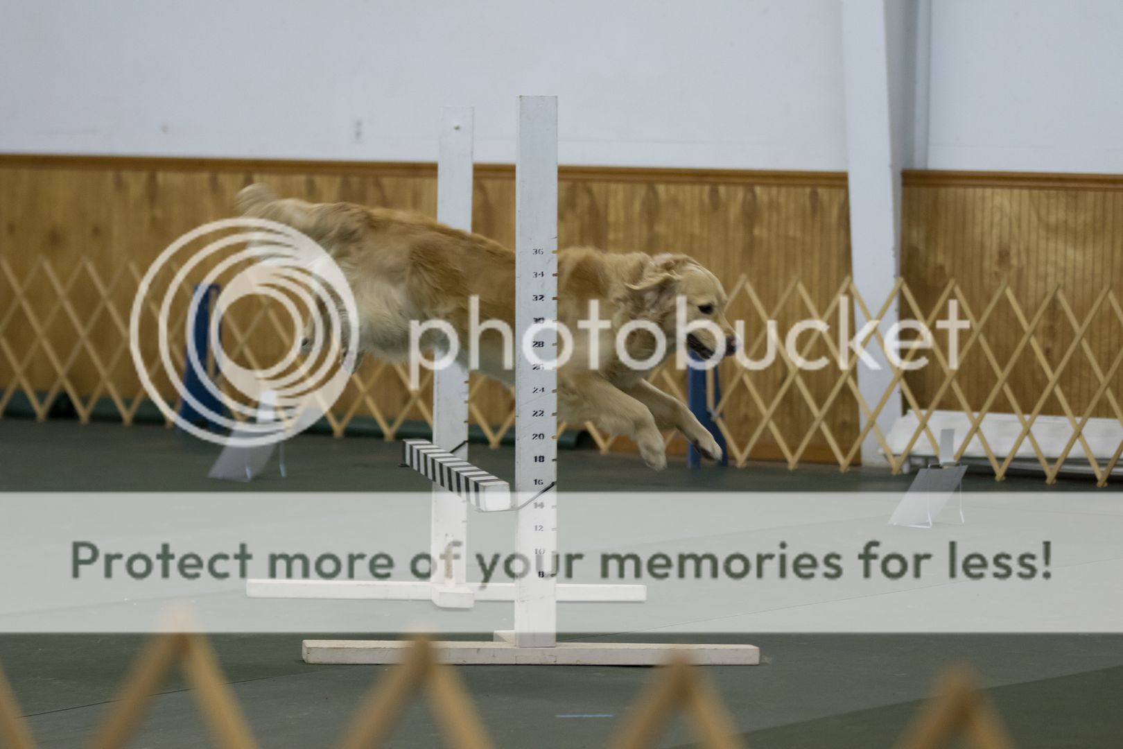 Photobucket - Video and Image Hosting