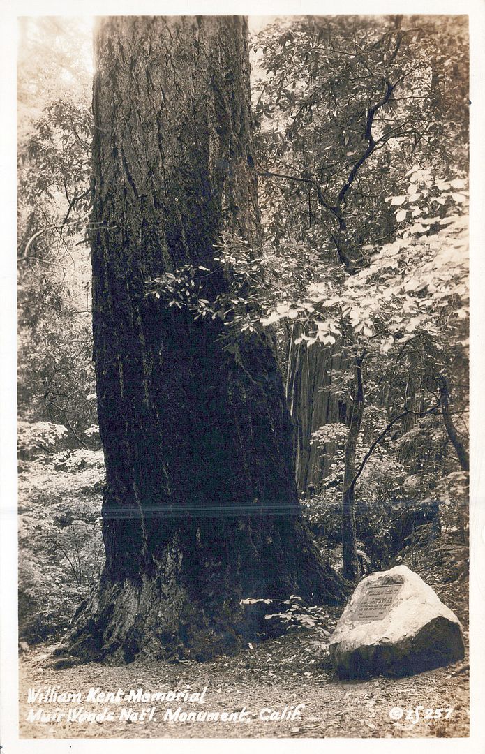 MILL VALLEY CA - William Kent Memorial Muir Woods Real Photo Postcard rppc - Picture 1 of 2