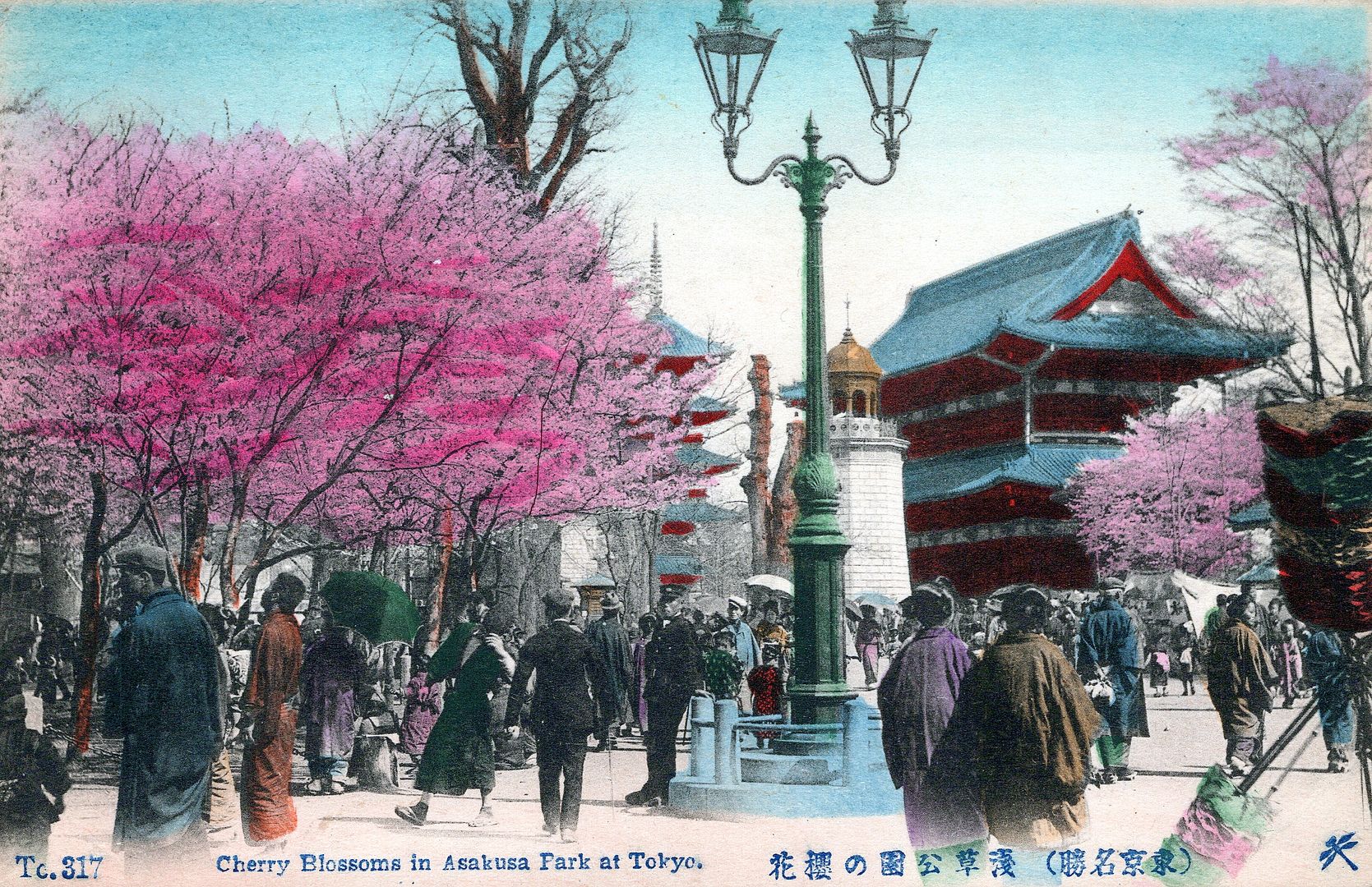 TOKYO - Cherry Blossoms In Asakusa Park At Tokyo Hand Colored Postcard - Japan - Picture 1 of 2