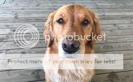 Photobucket - Video and Image Hosting