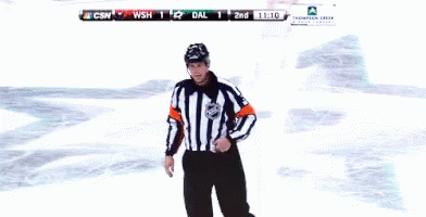 referee-you-cant-do-that