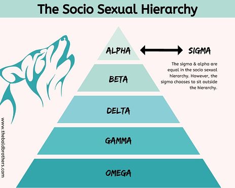 SIGMA HIERARCHY