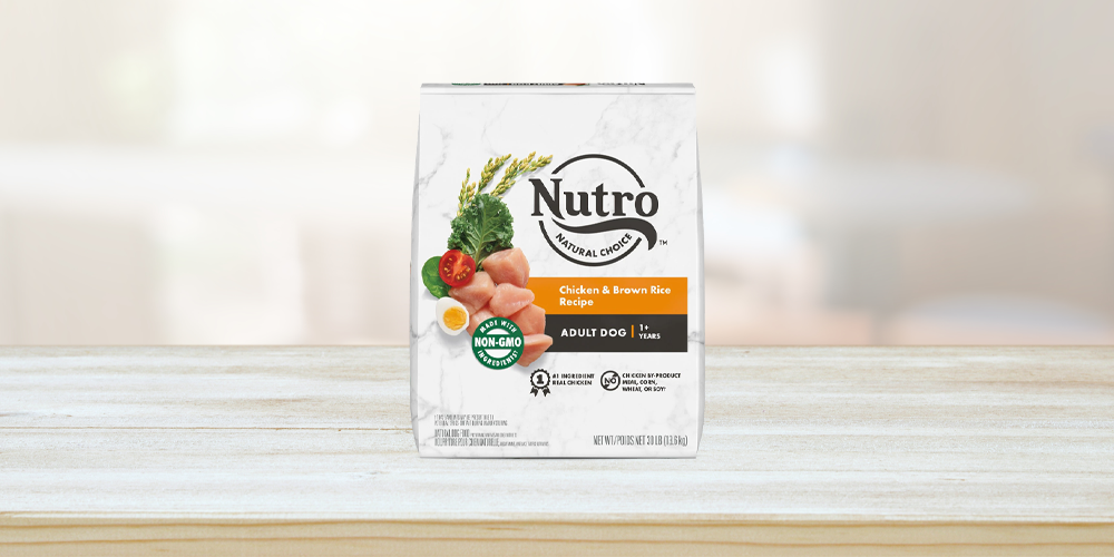 Best Value: Nutro Natural Choice Dry Dog Food