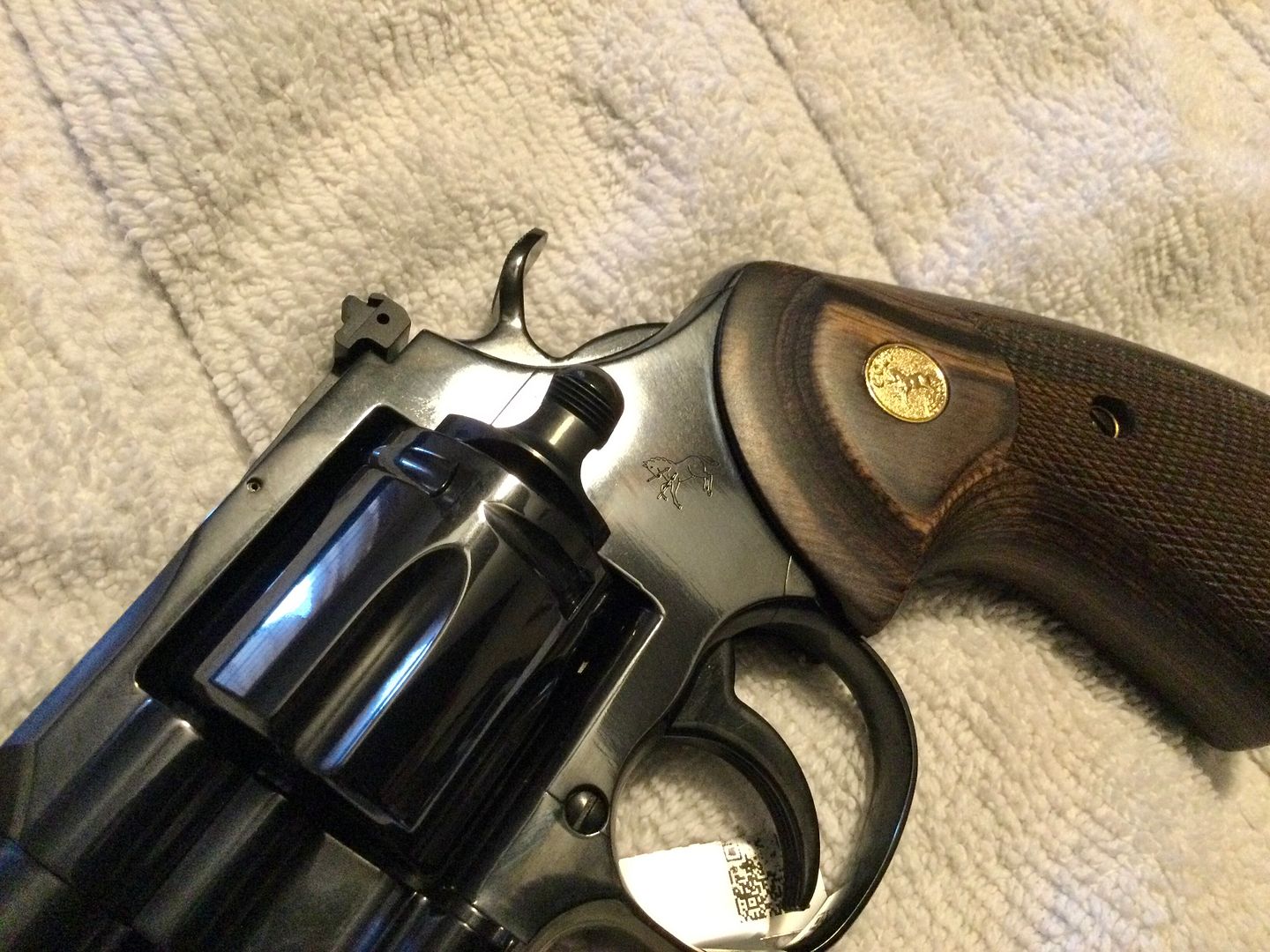 2024 Polished Blue Python side by side with 1984 Royal Blue Python ...