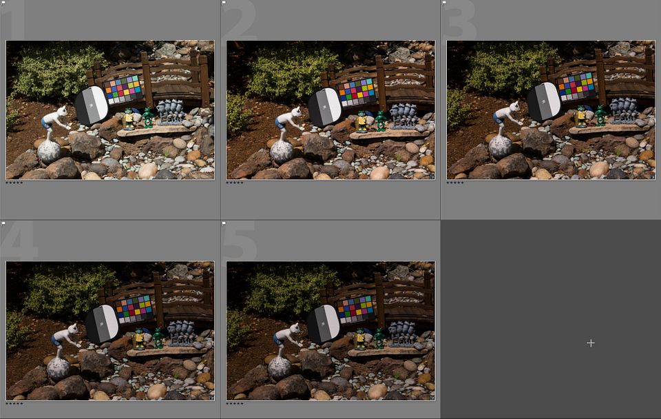 IMAGE: https://hosting.photobucket.com/images/i63/wiltonw/underexposure.jpg?width=960&height=720&fit=bounds