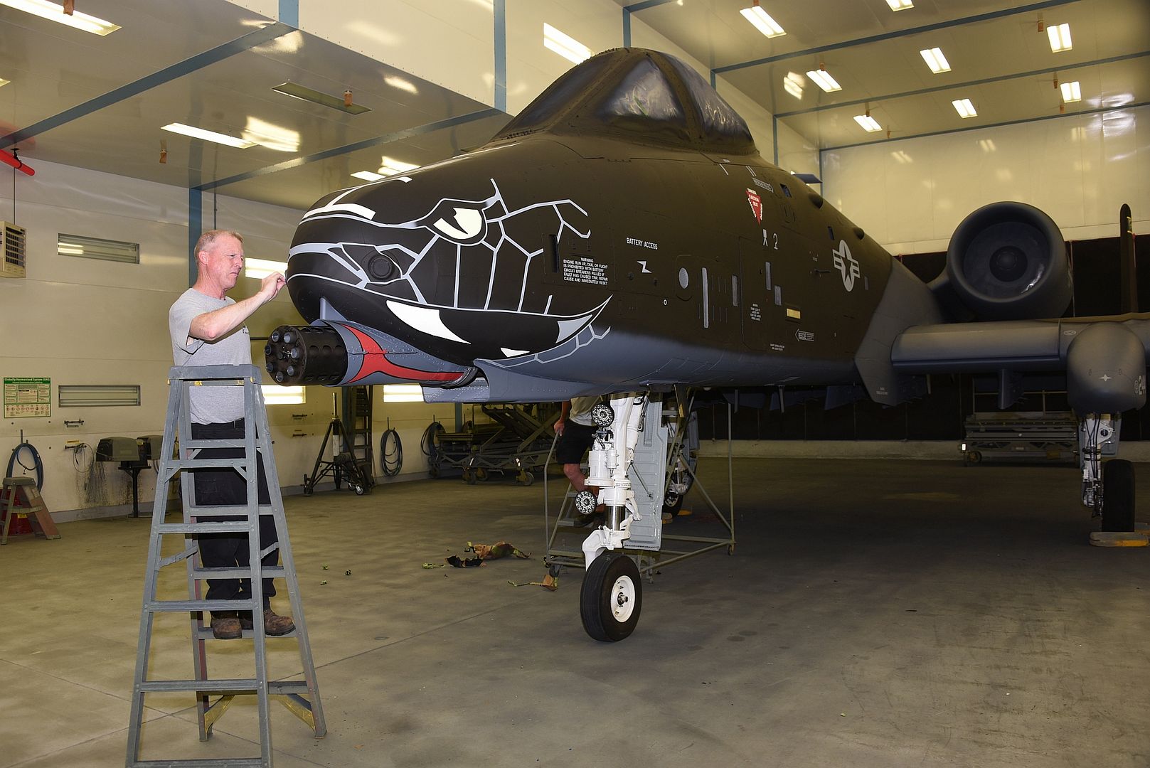 10 Blacksnakes 10 Blacksnakes