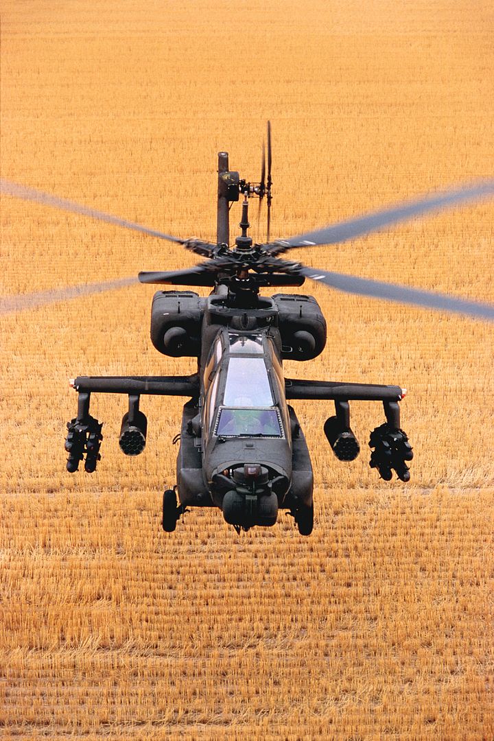  Army In 1984