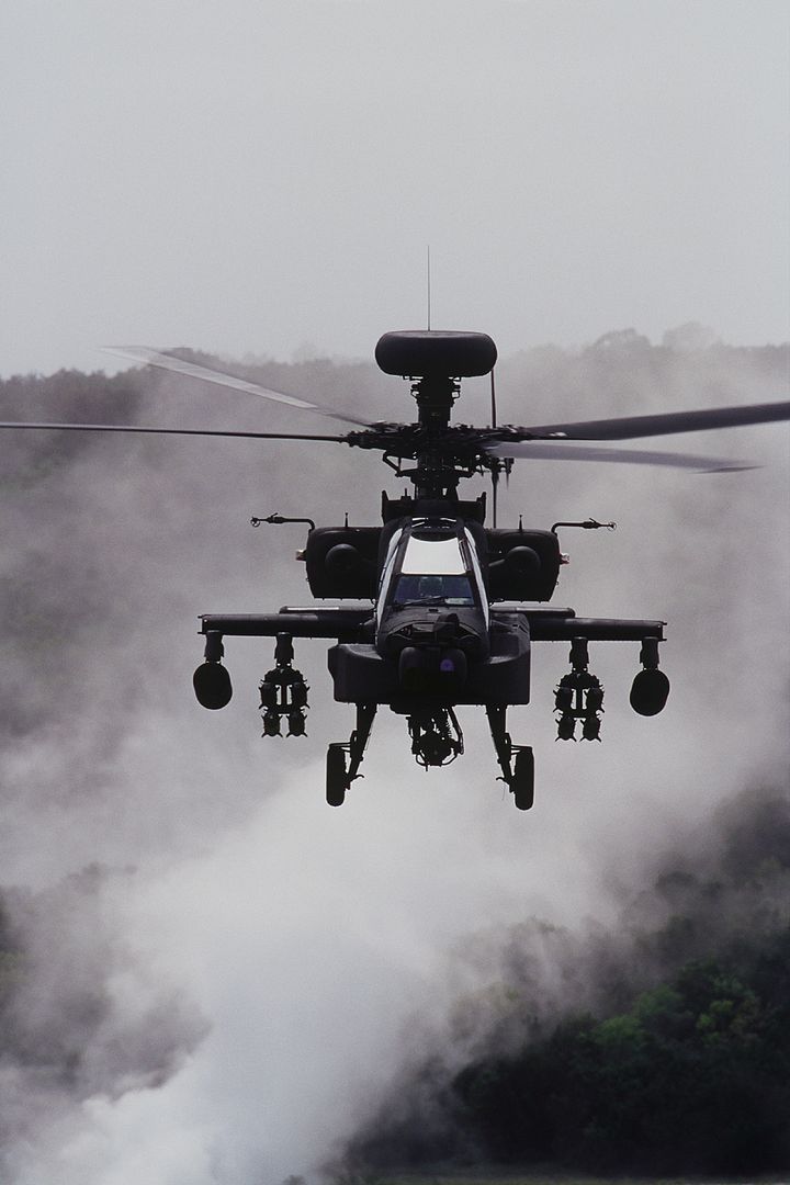  Army In 1984 1