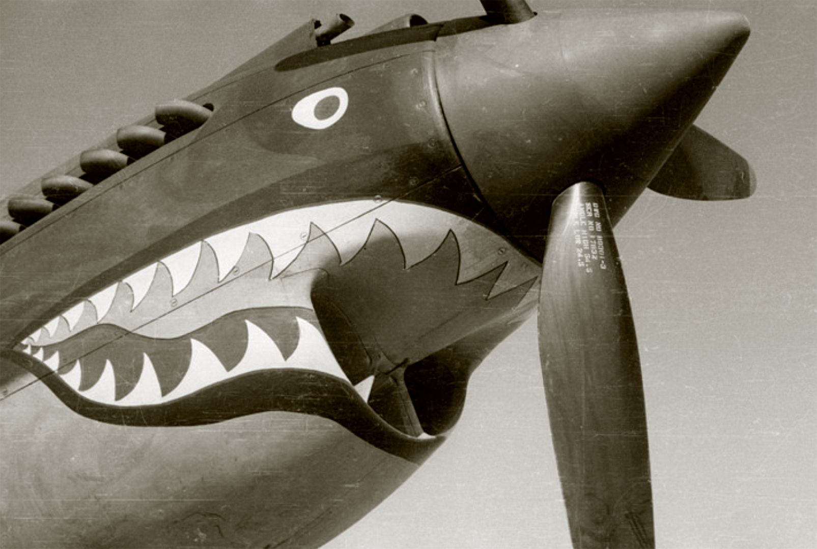 AVG Curtiss Hawk 81A2 AVG 23PG Shark Mouth