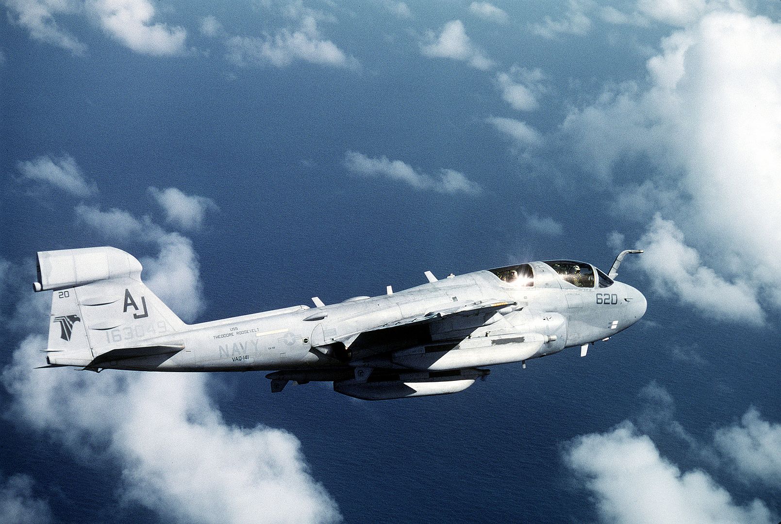 Air Right Side View Of A Tactical Electronic Warfare Squadron 141