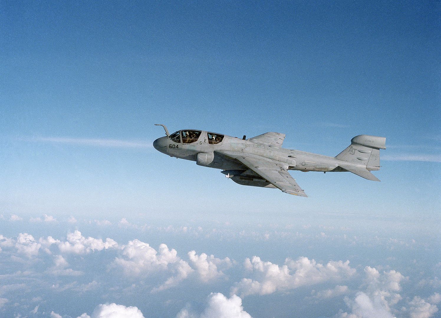 An Air To Air Left Side View Of A Tactical Electronic Warfare Squadron 138
