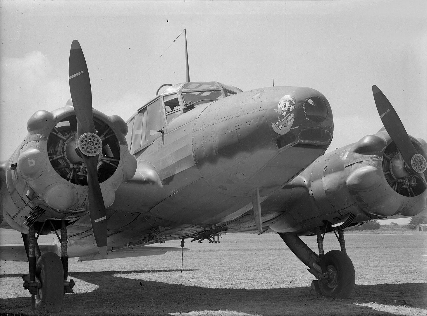 Avro Anson Donald Duck RNZAF Avro Anson Donald Duck RNZAF