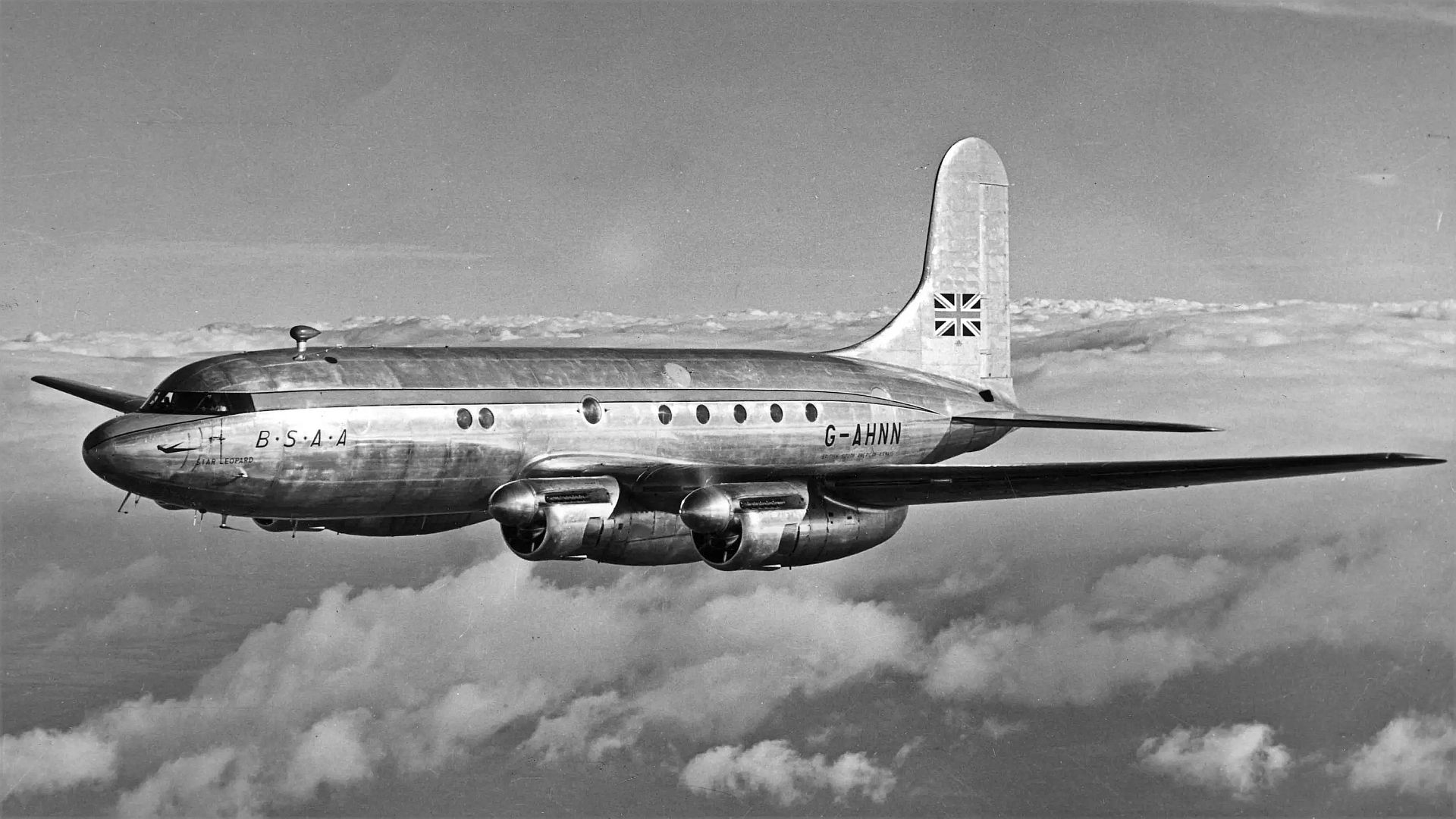 AHNN Star Leopard AHNN Star Leopard