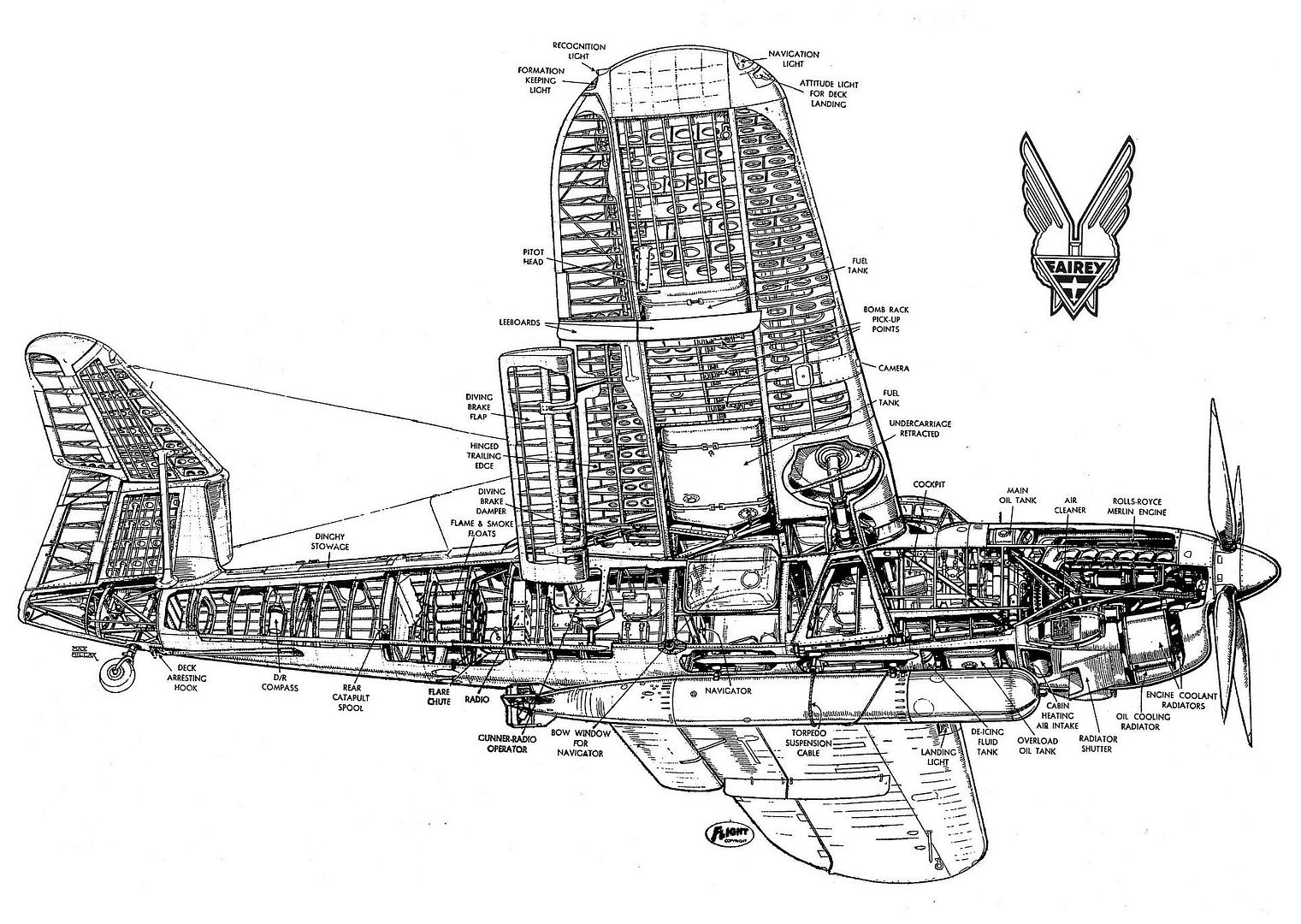 Barracuda Cutaway Barracuda Cutaway