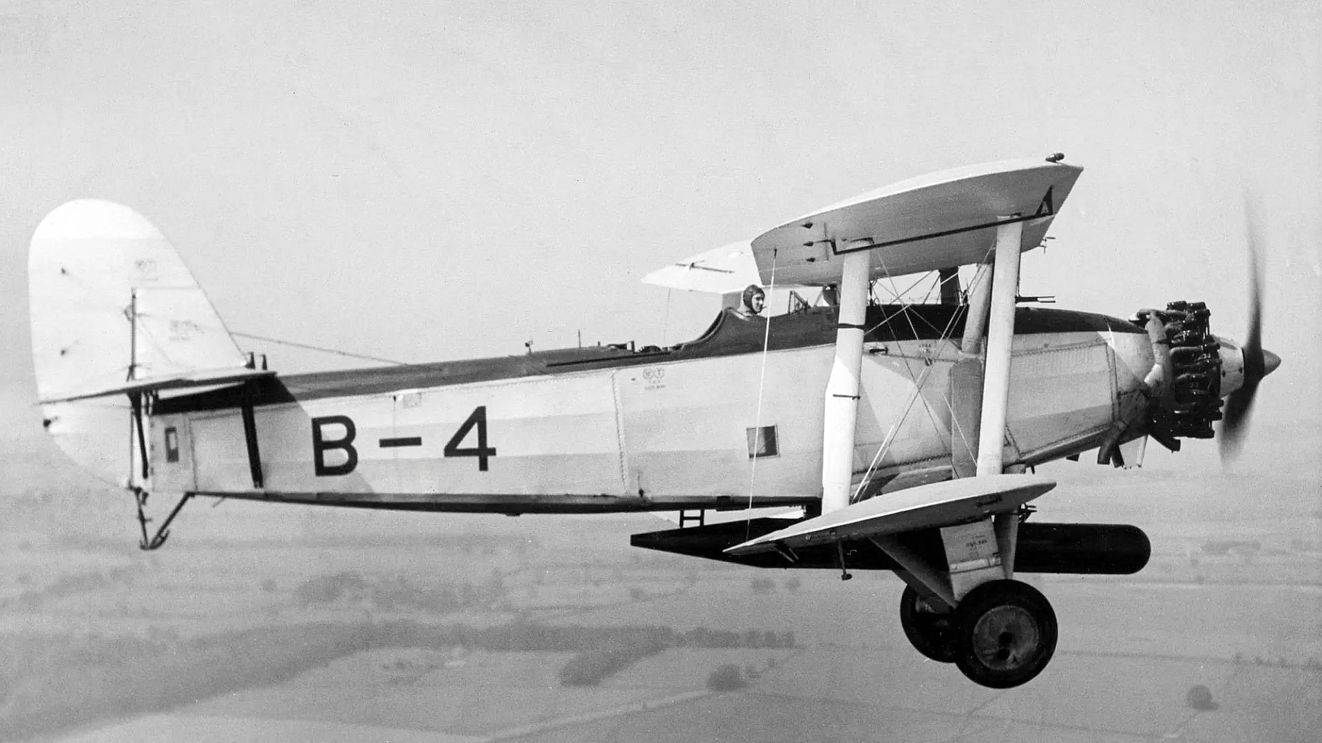 4 With Tiger Engine 4 With Tiger Engine