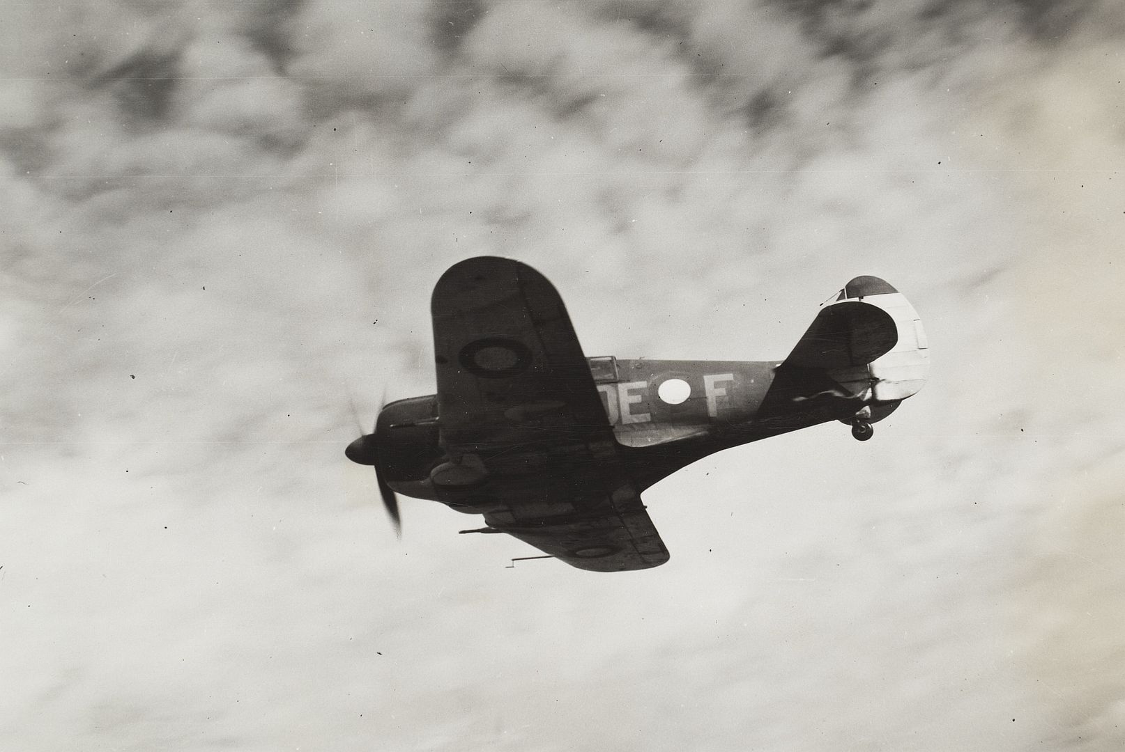 CAC Boomerang CAC Boomerang