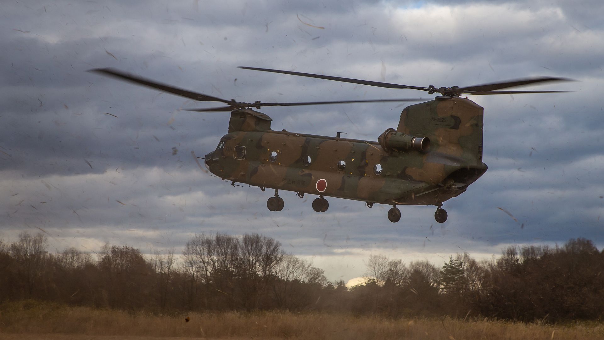 CH 47JA Chinook Helicopter Assigned To The Japan Ground Self Defense Force Comes In For A Landing During A Casualty Evacuation Drill CH 47JA Chinook Helicopter Assigned To The Japan Ground Self Defense Force Comes In For A Landing During A Casualty Evacuation Drill