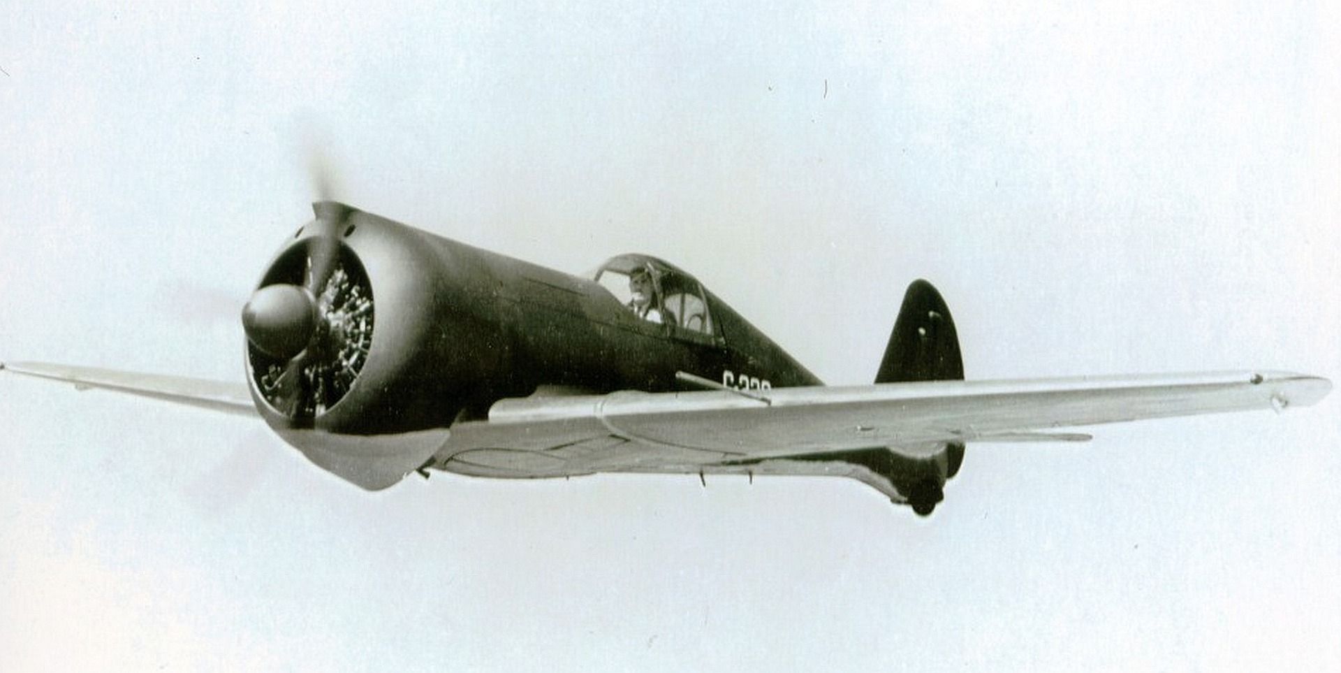 21B For Dutch Curtiss Photo 21B For Dutch Curtiss Photo