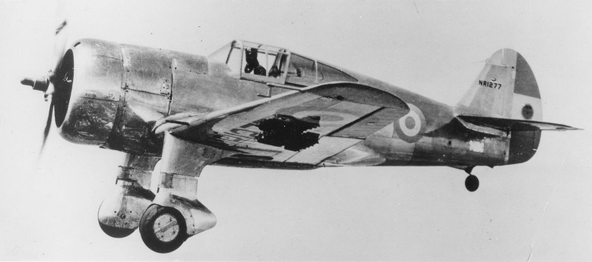 Curtiss 75H Hawk Argentinian
