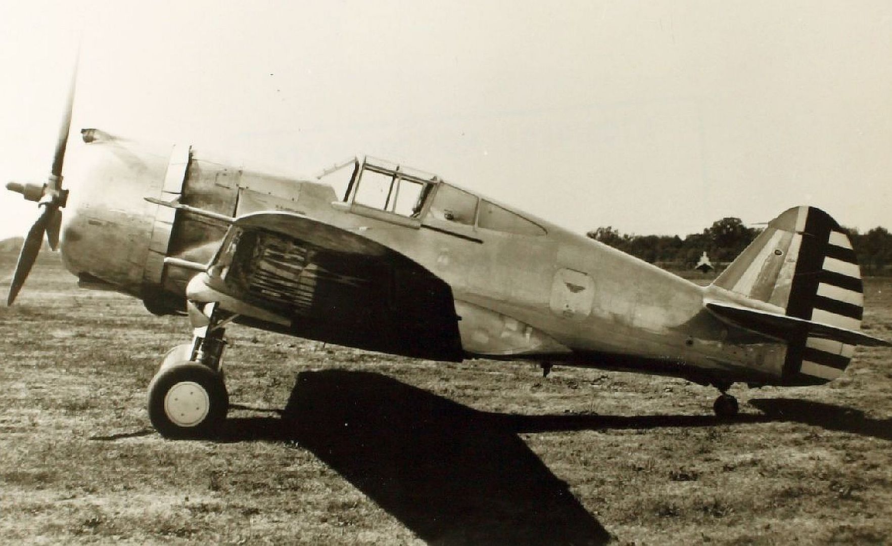 Curtiss P 36C Hawk