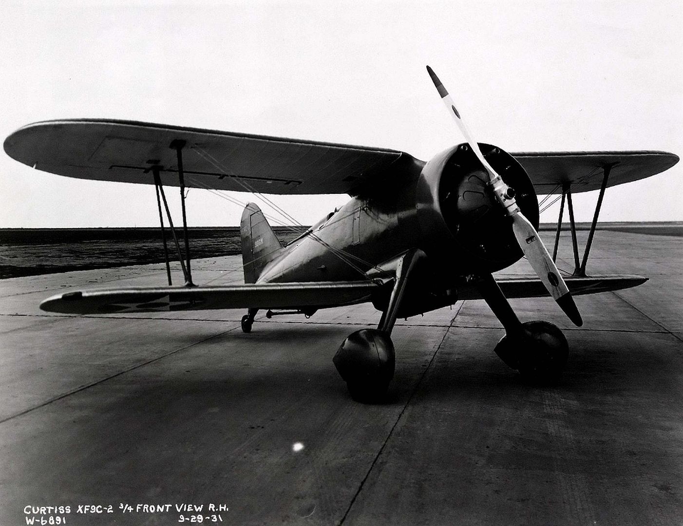 9C Sparrowhawk 9C Sparrowhawk