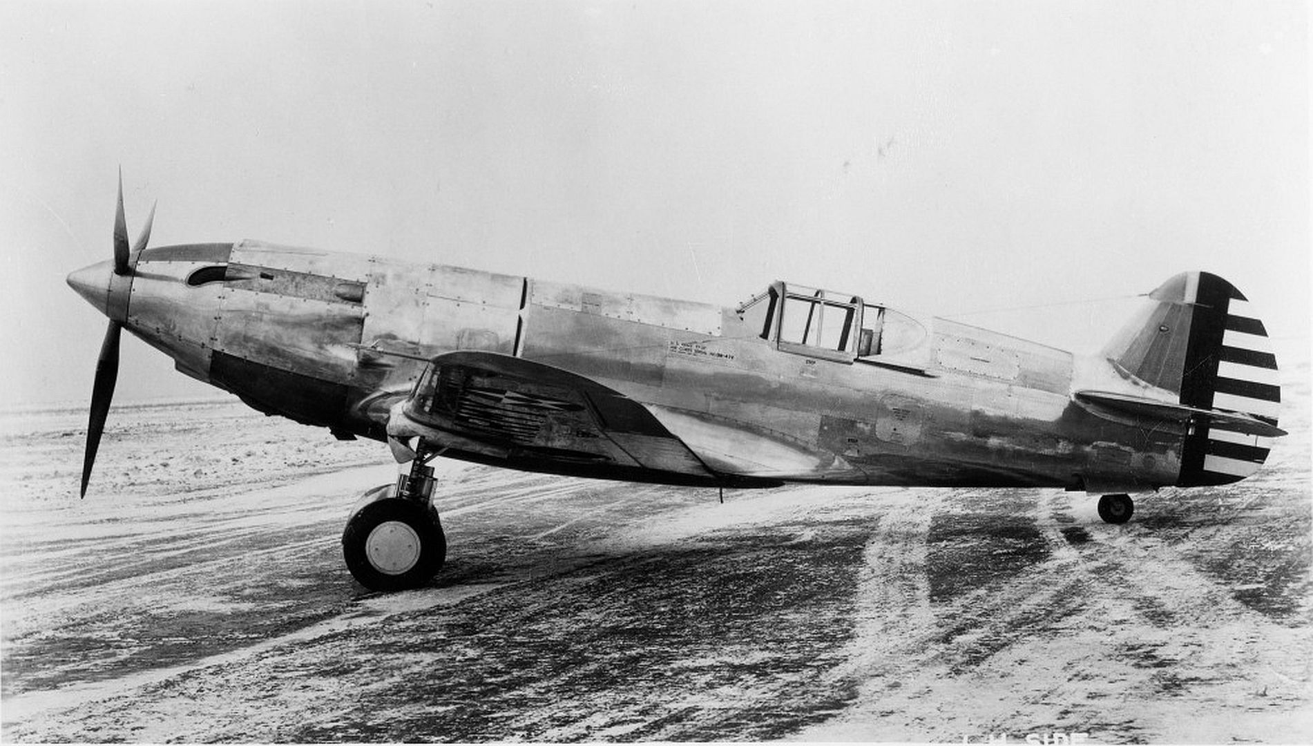 Curtiss YP 37 1